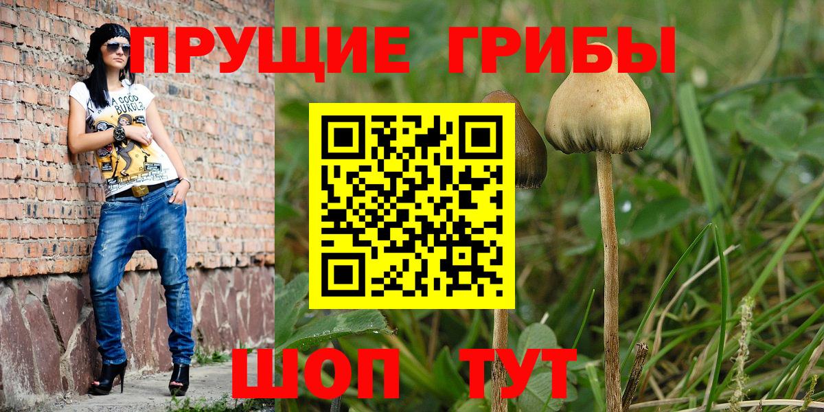 хочу наркоту  Вход с VPN  Галлюциногенные грибы мицелий  Юрга  Галлюциногенные грибы Psilocybe 