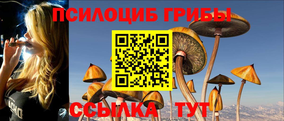 Галлюциногенные грибы прущие грибы Юрга
